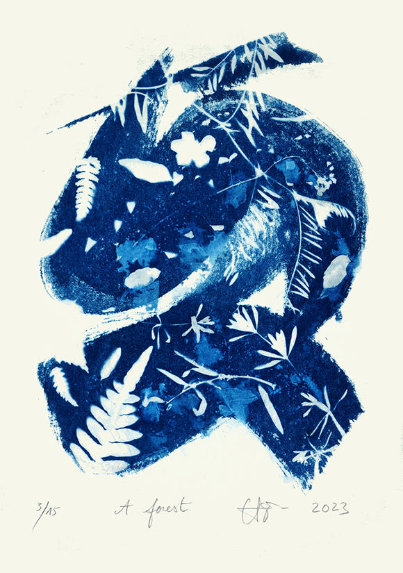 A Forest 3/15