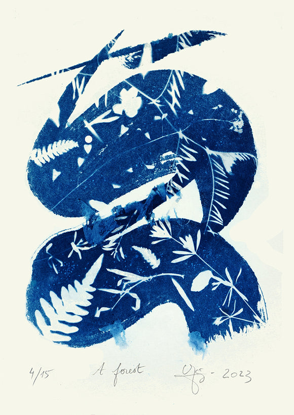 A Forest 4/15