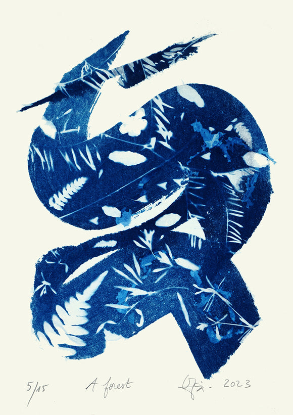 A Forest 5/15
