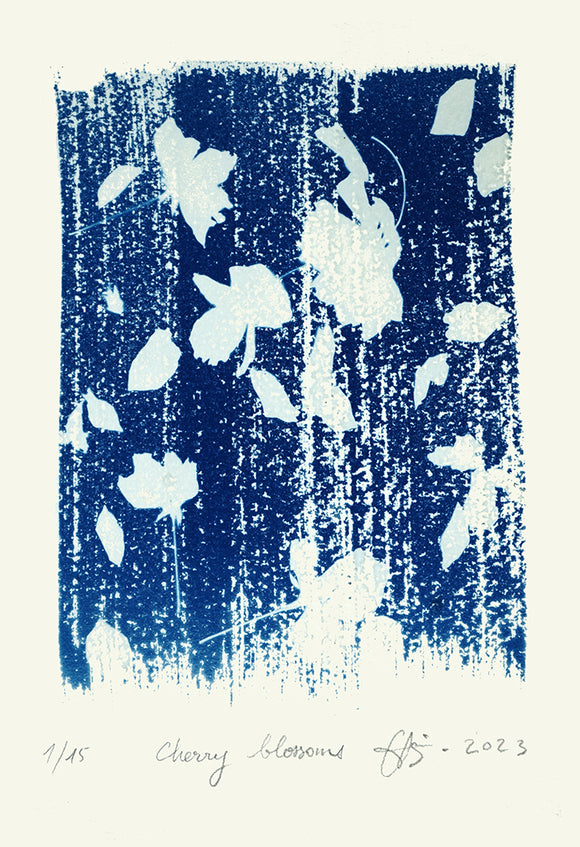 Cherry Blossoms 1/15
