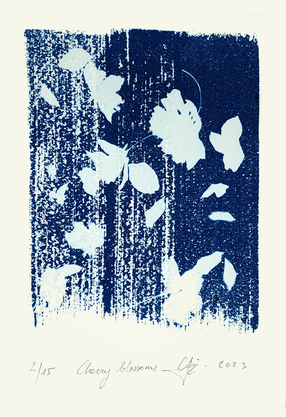 Cherry Blossoms 2/15