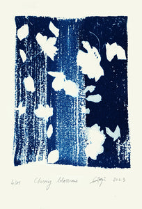 Cherry Blossoms 4/15