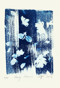 Cherry Blossoms 5/15