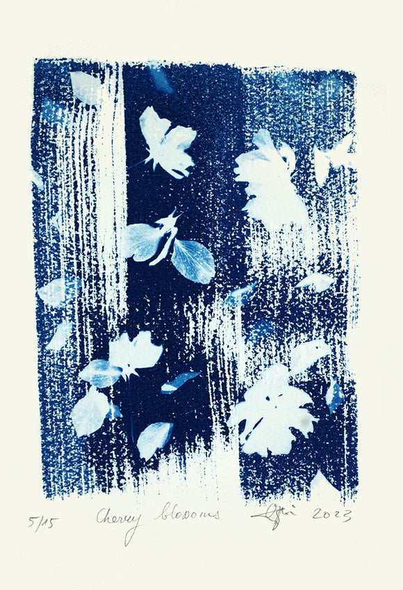 Cherry Blossoms 5/15