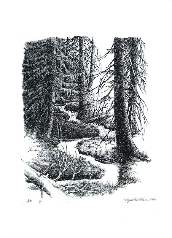 Metsäpuro